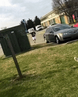 고장난 물리엔진_1.gif