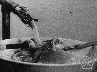 개머리 수술 무의미하다? 데미코프에 대해서 알아보자!_5.gif