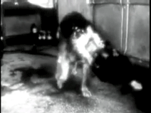 개머리 수술 무의미하다? 데미코프에 대해서 알아보자!_6.gif