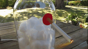 m_1520725847_5954_download_14.gif