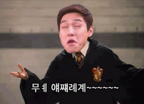 (데이터,스크롤 주의) 집중이 안될때 올리는 덧글용 짤 모음_40.gif