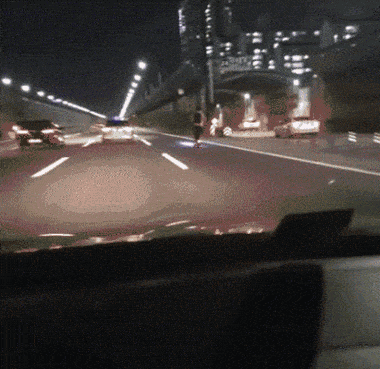 킥라니 근황.gif_1.gif
