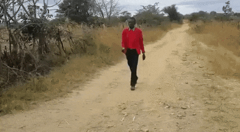 와칸다의 생활풍경.gif_1.gif