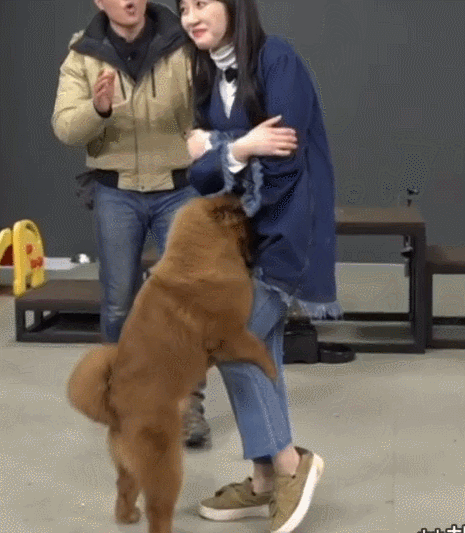 폭주하던 설현네 댕댕이의 최후_4.gif