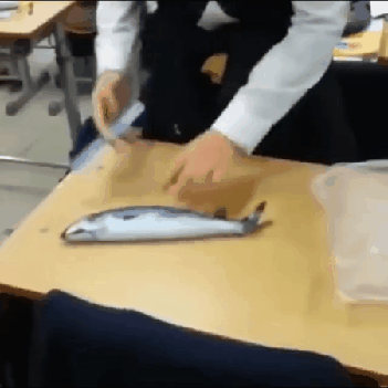 고등학교 수산시장.gif_1.gif