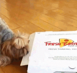 로아 서버가 안열려서 빡친 로아갤 근황_1.gif