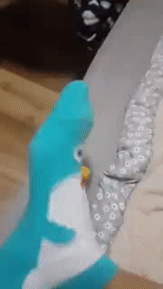 진정한 발연기.gif_1.gif