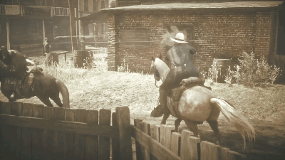 Red Dead Redemption 2_20190303181356__8.gif