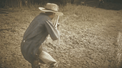 Red Dead Redemption 2_20190304231927__2.gif