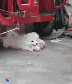 NTR장르에서 개꼴리는 상황.gif_1.gif