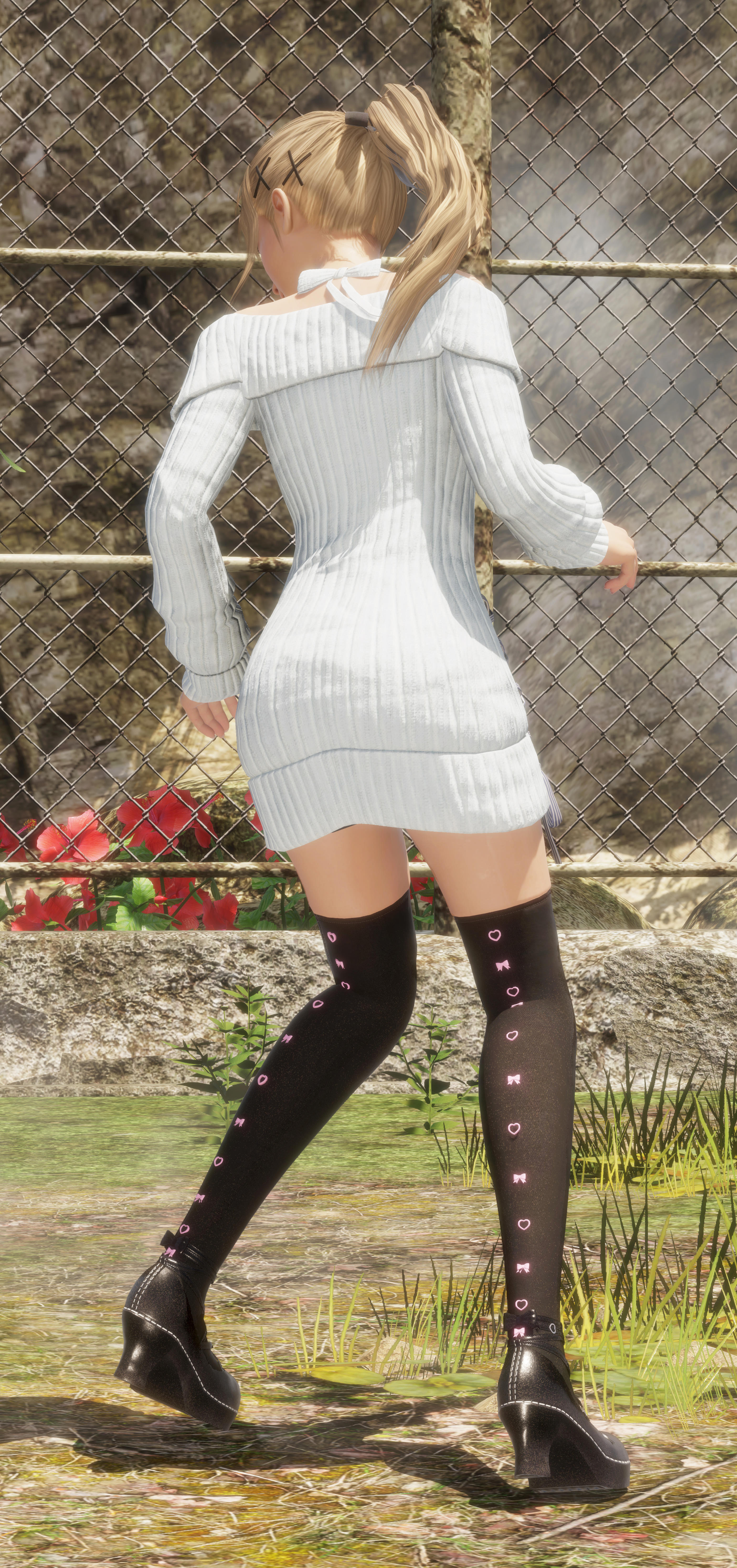 DOA6 2019-03-08 02-52-32-671_stitch.jpg