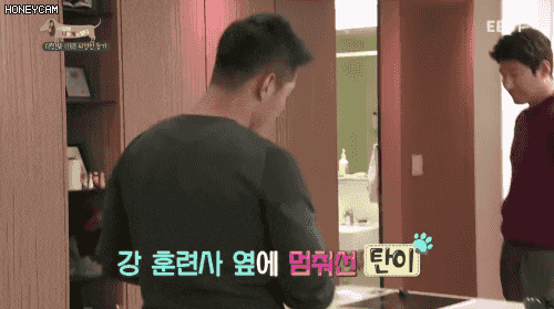 개가 자신을 물려한다는 걸 알아챈 강형욱_1.gif