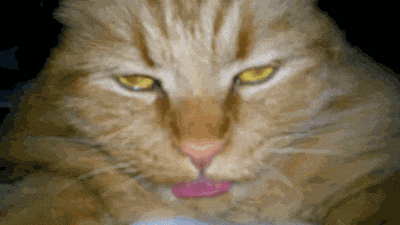 메렁_2.gif