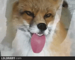 메렁_5.gif