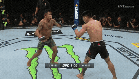송 야동 gif