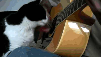 기타 연주를 멈출 수 없다.gif_1.gif