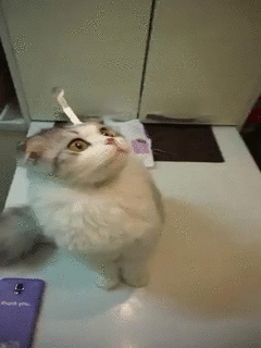 크롬 원격 데스크톱 원래 소리나지 않았음?_1.gif