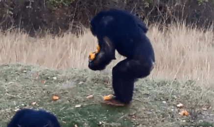 "각 생활관 1명 행정반으로"_1.gif
