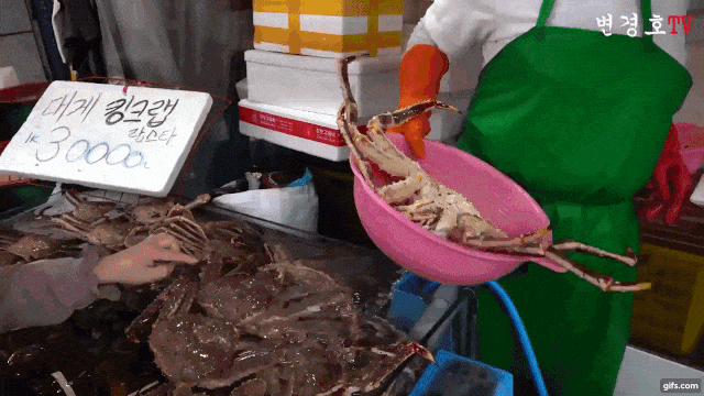 전국에서 가장 악명높은 수산시장.gif_8.gif