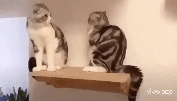 확 그냥 디질라고.gif_1.gif