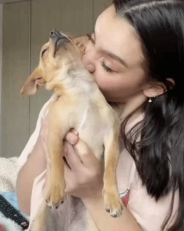 강아지 냄새에 중독된 여자.GIF_1.gif