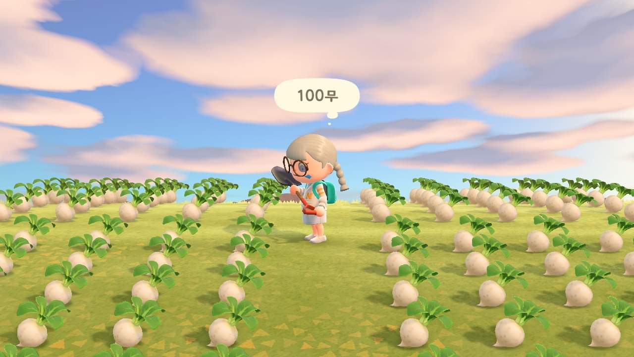 무트코인은 소액으로 조금씩만