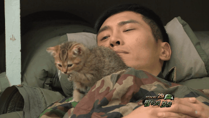 푸른거탑 역대급 캐스팅.gif_8.gif