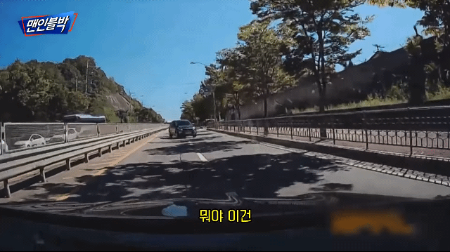 내가 역주행중인가? 뇌정지 오는상황_1.gif