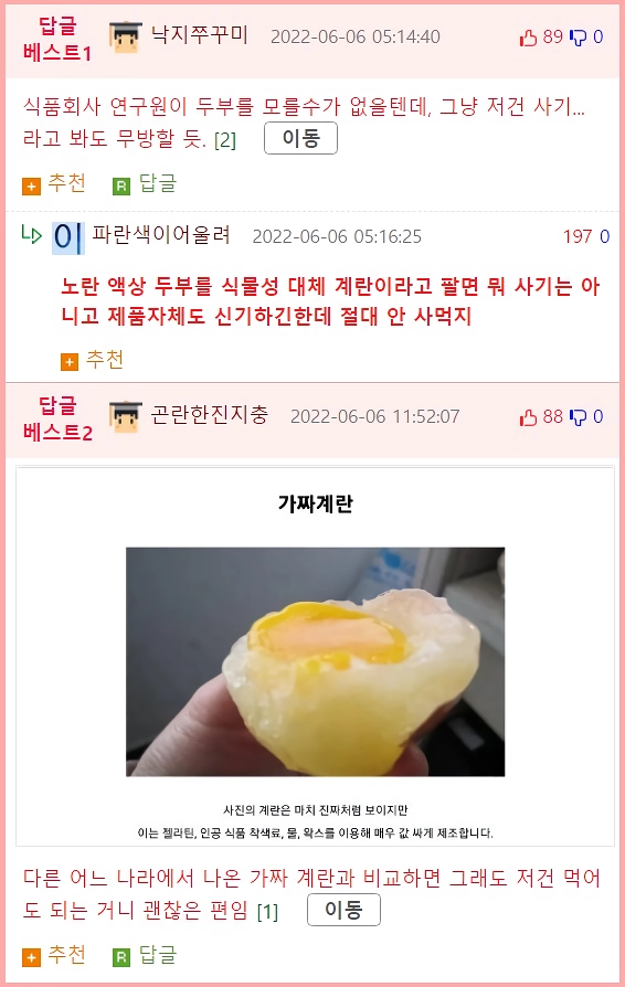 계란 대용품으로 나온 식물성 계란 리뷰_3.webp