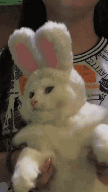 토냥이.gif_2.gif