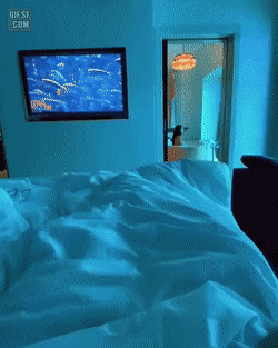 부산에 내년 오픈 예정인 수중호텔_3.gif