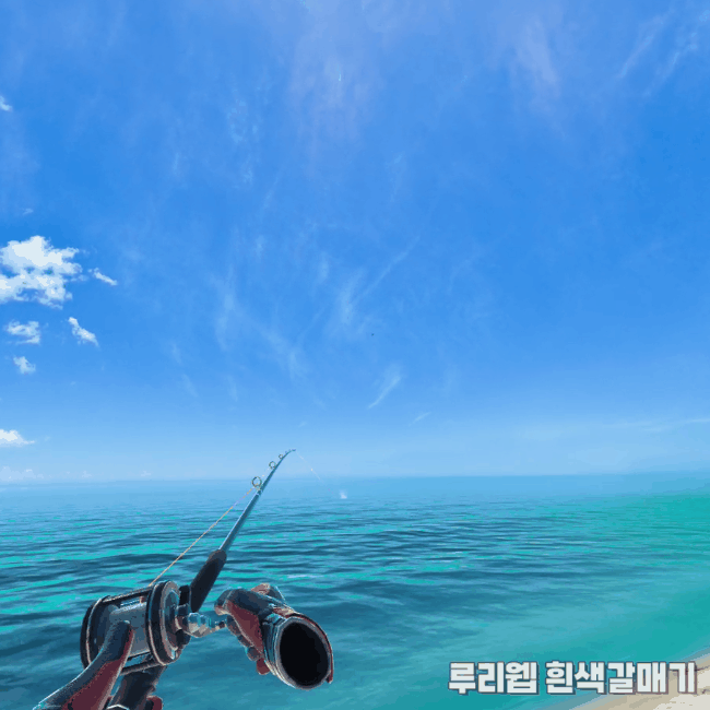 [가이드] 리얼VR피싱 상어 낚시를 위한 기초 정보_9.gif
