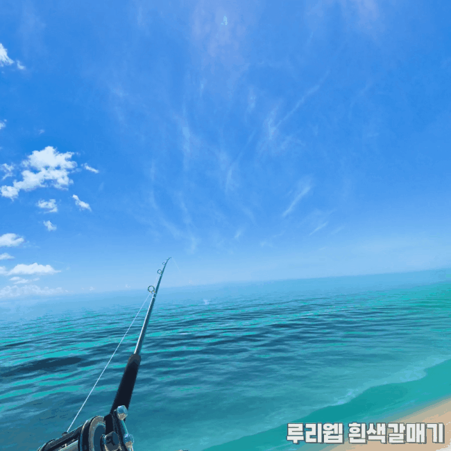 [가이드] 리얼VR피싱 상어 낚시를 위한 기초 정보_10.gif