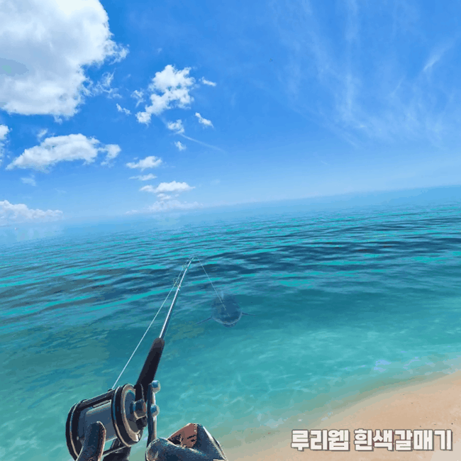 [가이드] 리얼VR피싱 상어 낚시를 위한 기초 정보_12.gif