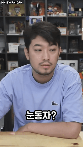 (인방) 침착맨 좌우 반전 첼린지.GIF_2.gif