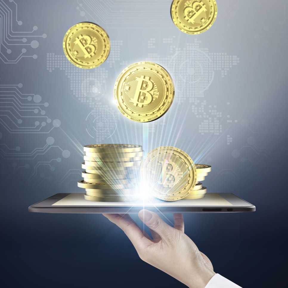 2022811 경제코인 일정