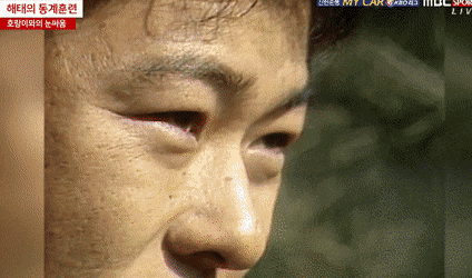 해태 타이거즈 훈련 레전드.gif_1.gif