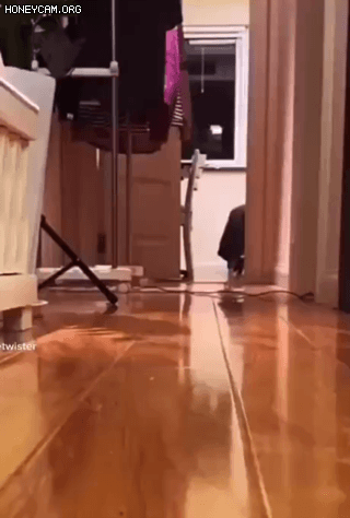 사죄의 짤_3.gif