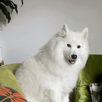 난 오늘부터 어그로맨이 될거야_10.gif