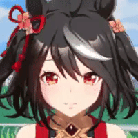 말딸)(경마) 말 중에서 제일 좋아했던 녀석_2.gif