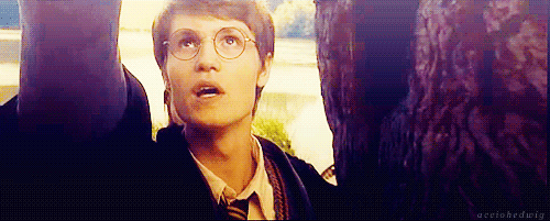 해리포터) 맥고나걸이 해리 일행에게 150점 감점을 갈긴 이유_13.gif