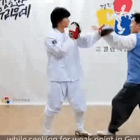 (스압주의)오싹오싹 택견 근현대사 8편 - 황금기의 뒷면과 또 다른 계승자 -_26.gif