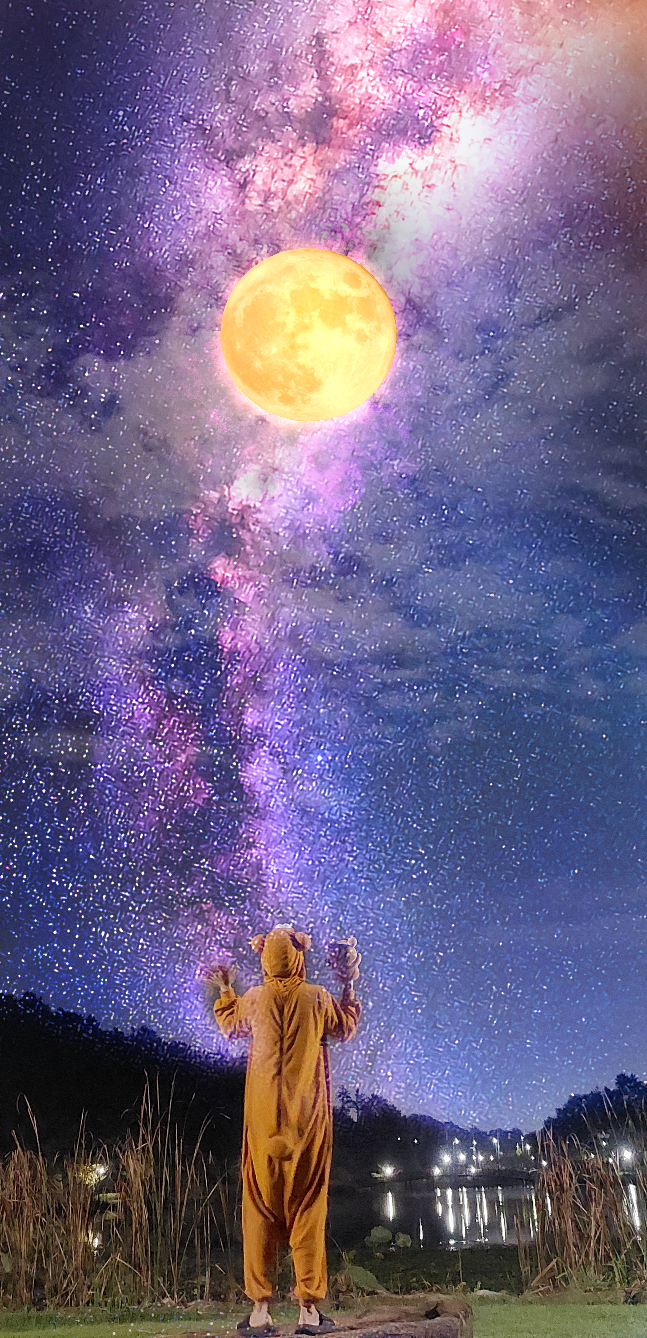 미루 달을 보러가자