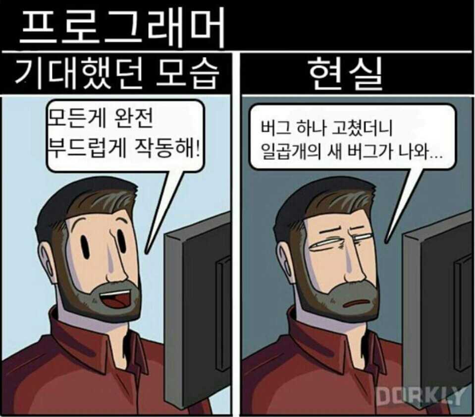 프로그래머의 기대했던모습 현실