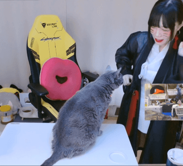 인방) 고양이 목욕 영상 보고 놀라는 서새봄 | 유머 게시판 인방) 고양이 목욕 영상 보고 놀라는 서새봄 | 유머 게시판 | 루리웹