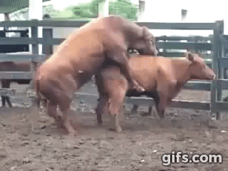 실패짤 모음.gif_3.gif