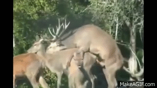 실패짤 모음.gif_6.gif