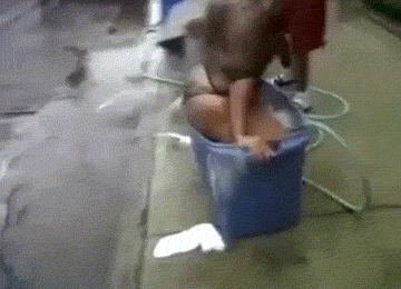 교배프레스 !!!!_1.gif