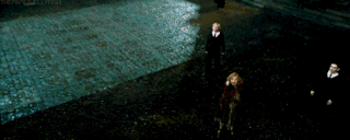 해리포터) 팬들이 경악한 그린델왈드의 궁극기_16.gif