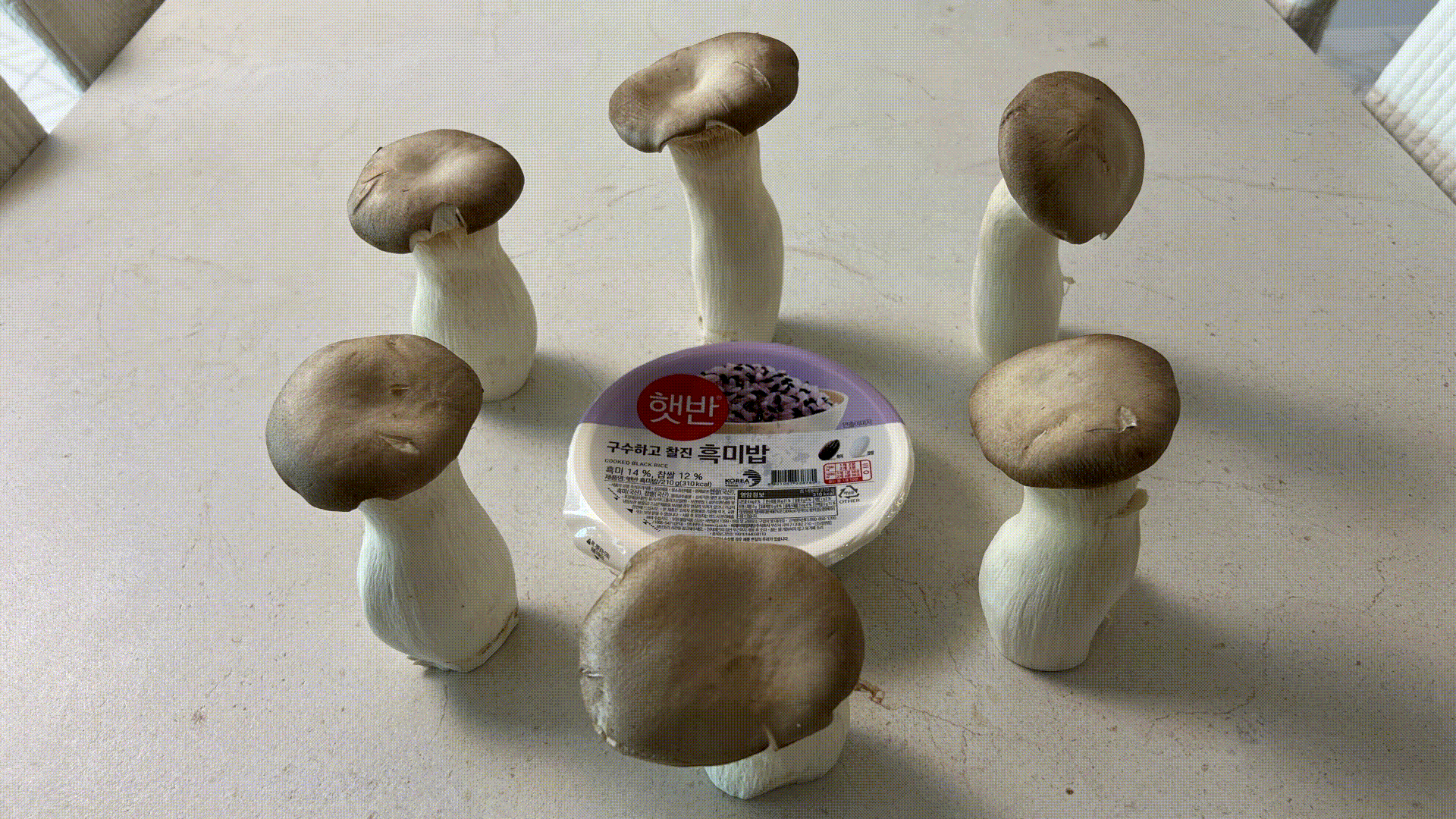 던전밥의 참수 (미궁) 토끼 카레라이스 따라만들기._56.gif